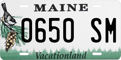 ME license plate 0650SM