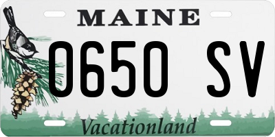 ME license plate 0650SV