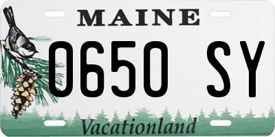 ME license plate 0650SY