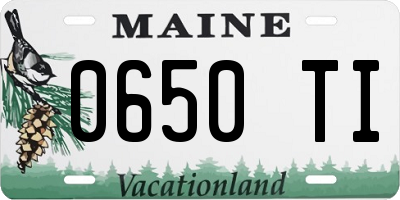 ME license plate 0650TI