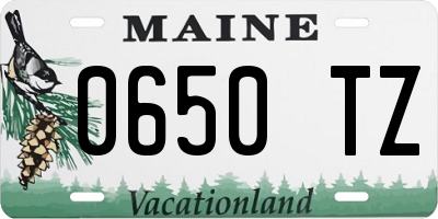 ME license plate 0650TZ