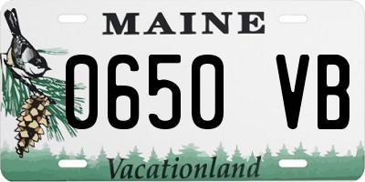 ME license plate 0650VB