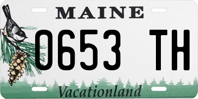 ME license plate 0653TH