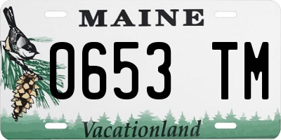 ME license plate 0653TM