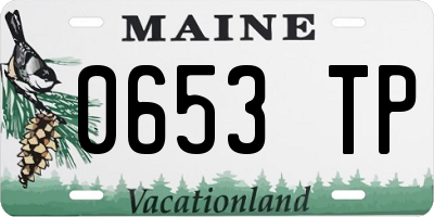 ME license plate 0653TP