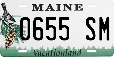 ME license plate 0655SM