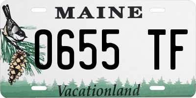 ME license plate 0655TF