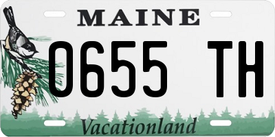 ME license plate 0655TH