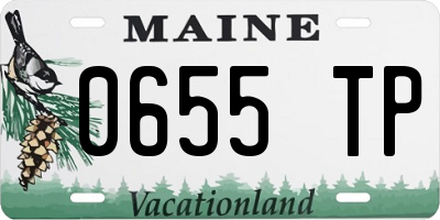 ME license plate 0655TP