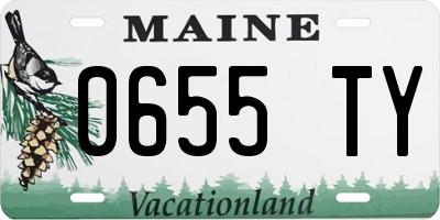 ME license plate 0655TY