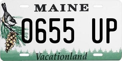 ME license plate 0655UP