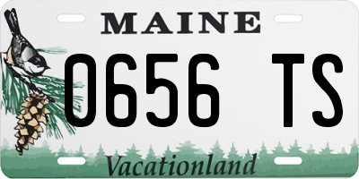 ME license plate 0656TS