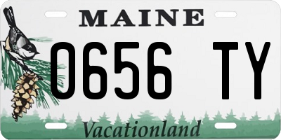 ME license plate 0656TY