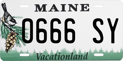 ME license plate 0666SY