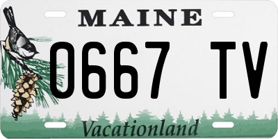 ME license plate 0667TV