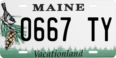 ME license plate 0667TY