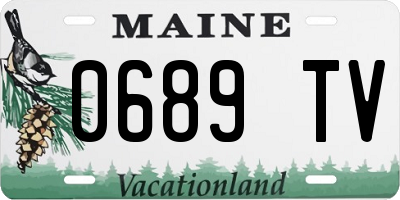 ME license plate 0689TV