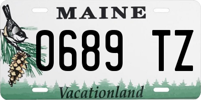 ME license plate 0689TZ