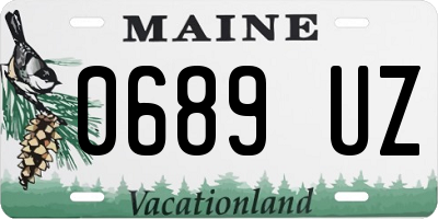 ME license plate 0689UZ