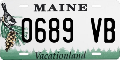 ME license plate 0689VB