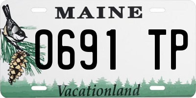ME license plate 0691TP