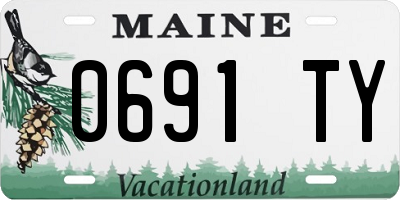 ME license plate 0691TY