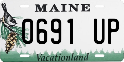ME license plate 0691UP