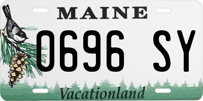 ME license plate 0696SY