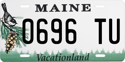 ME license plate 0696TU