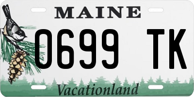 ME license plate 0699TK