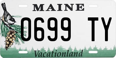 ME license plate 0699TY