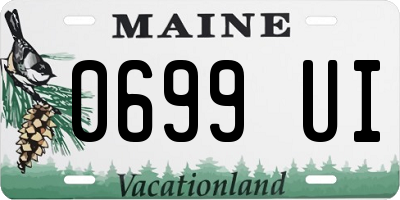ME license plate 0699UI