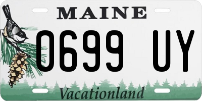 ME license plate 0699UY