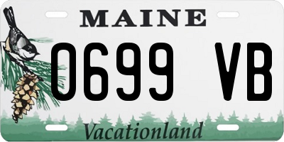 ME license plate 0699VB