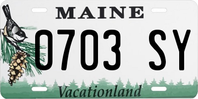 ME license plate 0703SY