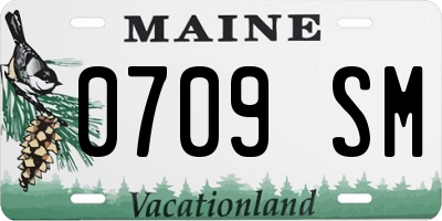 ME license plate 0709SM