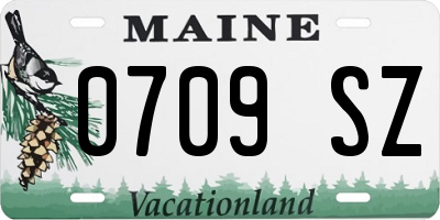 ME license plate 0709SZ