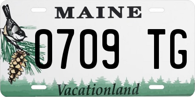 ME license plate 0709TG