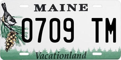 ME license plate 0709TM