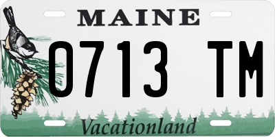 ME license plate 0713TM