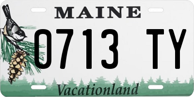 ME license plate 0713TY