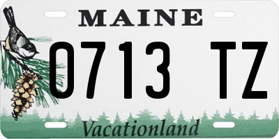 ME license plate 0713TZ