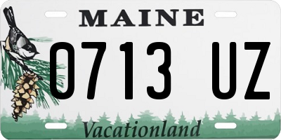 ME license plate 0713UZ