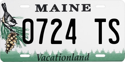 ME license plate 0724TS