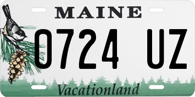 ME license plate 0724UZ