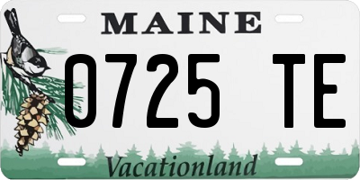ME license plate 0725TE