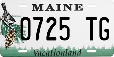 ME license plate 0725TG