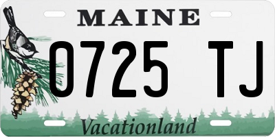 ME license plate 0725TJ