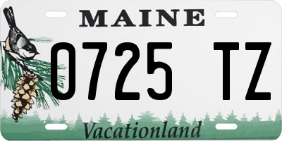 ME license plate 0725TZ