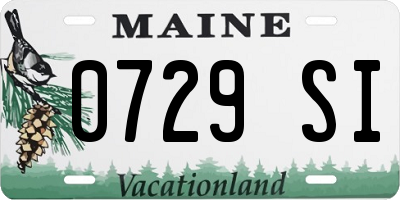 ME license plate 0729SI